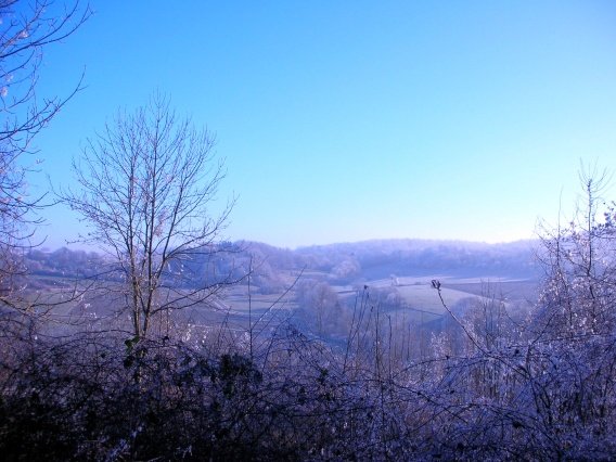 rundgang_raureif_winter_2007_21_20160830_1873023267