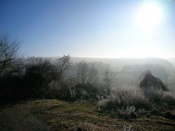 rundgang_raureif_winter_2007_25_20160830_1476567607