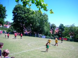 Das Dorf &raquo; Unser Dorf hat Zukunft - 2011