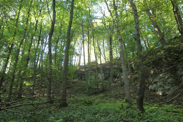 hr4_wandertag_in_grandenborn_101_20160830_1745679287