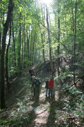hr4_wandertag_in_grandenborn_106_20160830_1486732372