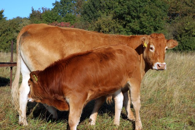 hr4_wandertag_in_grandenborn_31_20160830_1148358914