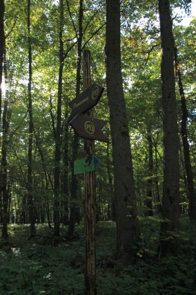 hr4_wandertag_in_grandenborn_67_20160830_1494823618