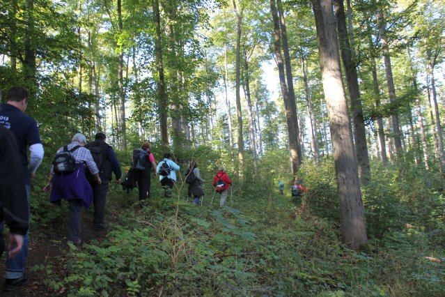hr4_wandertag_in_grandenborn_70_20160830_1943254278