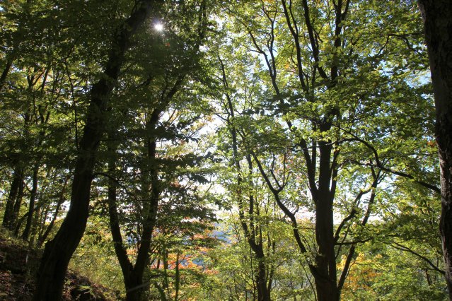 hr4_wandertag_in_grandenborn_86_20160830_1928338259