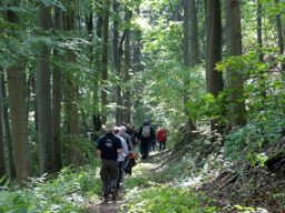 Das Dorf &raquo; hr4 Wandertag in Grandenborn
