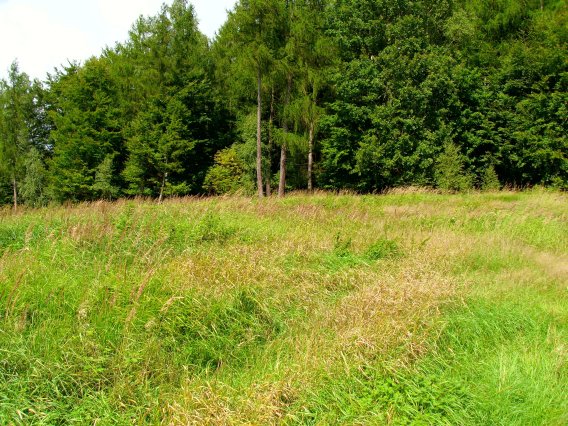 schilderaufbau_kirmes_2010_61_20160830_2045813377